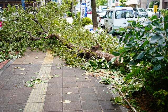 台風対策